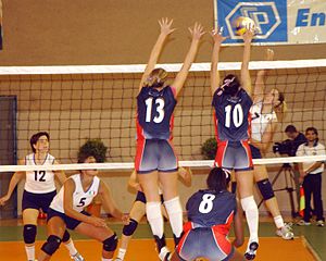 Ejemplo Voleibol